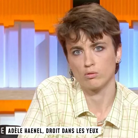 Fransa'da Gazze Sansürü: Haenel'in Tepkisi Yayından Kaldırıldı