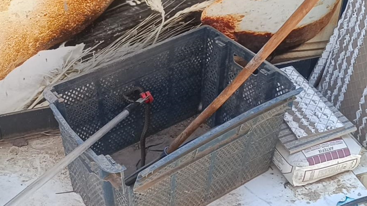 Gaziantep'te ekmek sandığına giren yılan itfaiye tarafından kurtarıldı