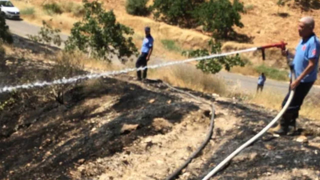 Gaziantep’te Fıstık Tarlasında Yangın Sonrası Cansız Beden Bulundu