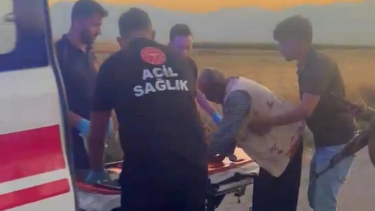 Gaziantep'te Hayvan Otlatma Kavgası: 2 Yaralı