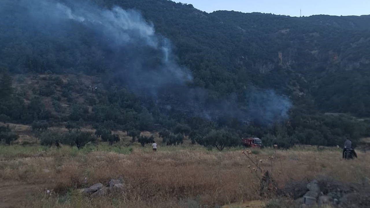 Gaziantep'teki Orman Yangını Kontrol Altına Alındı