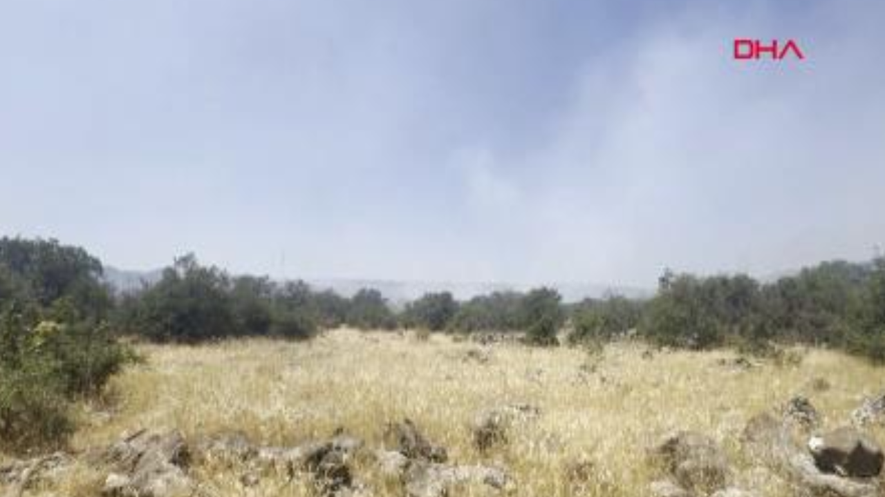 Gaziantep Şehitkamil'de Orman Yangını: Alevlere Müdahale Sürüyor