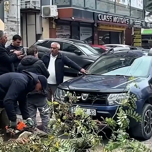 Gebze'de devrilen ağaç lüks cipi hurdaya çevirdi