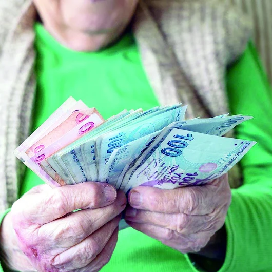 Gelir Destek Sistemi: 432 Milyarlık Katkı ve 3,6 Milyon Hane