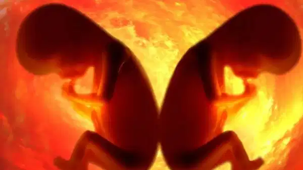 Genetiği değiştirilmiş bebek deneyleri etik tartışmaları alevlendirdi