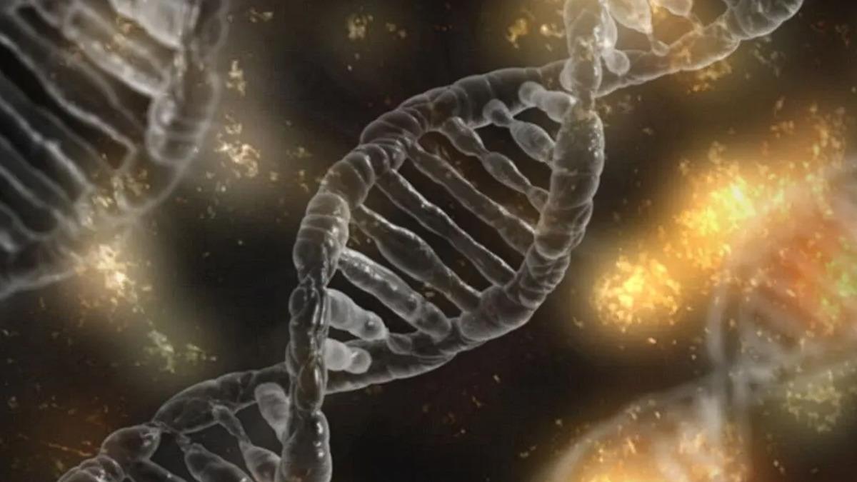 Genetik Riski Yaşam Tarzıyla Dengeleyin: Yaşlanmayı Yavaşlatın