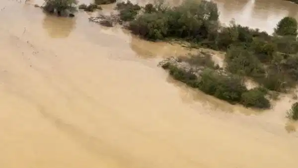Giresun Alucra'da Korkunç Kaza: 3 Ölü, 3 Yaralı