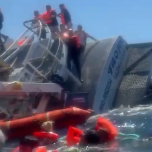 Girne Faciasında Yeni Görüntüler: Denizde Hayatta Kalma Mücadelesi