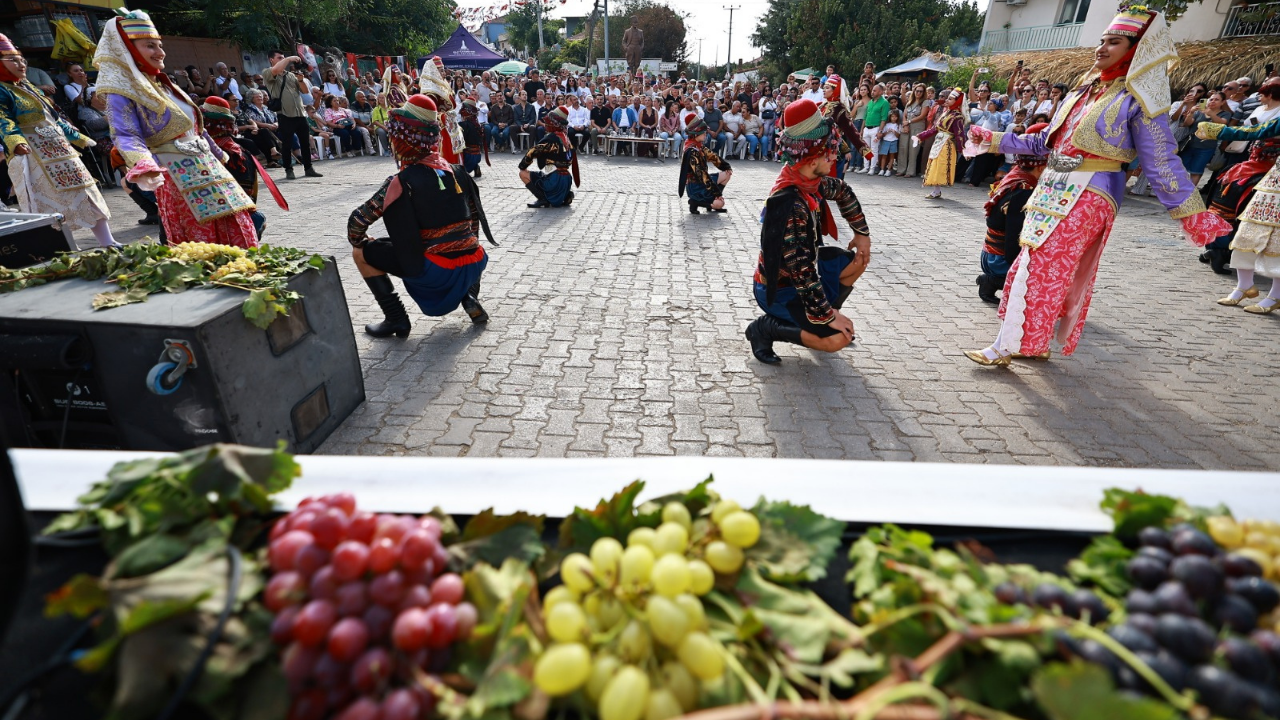 Gökçealan Osmancık Üzüm Şenliği Coşkuyla Kutlandı