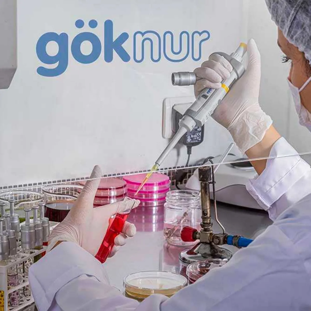 Göknur Gıda'da Kayyum Kararı Kaldırıldı! Alihan Kuriş Soruşturmasında Yeni Gelişme
