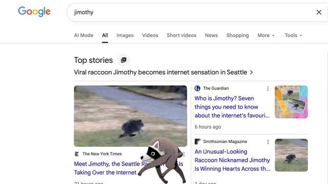 Google'da 'Jimothy' Arayın: Ekranınızda Koşan Rakun Sürprizi