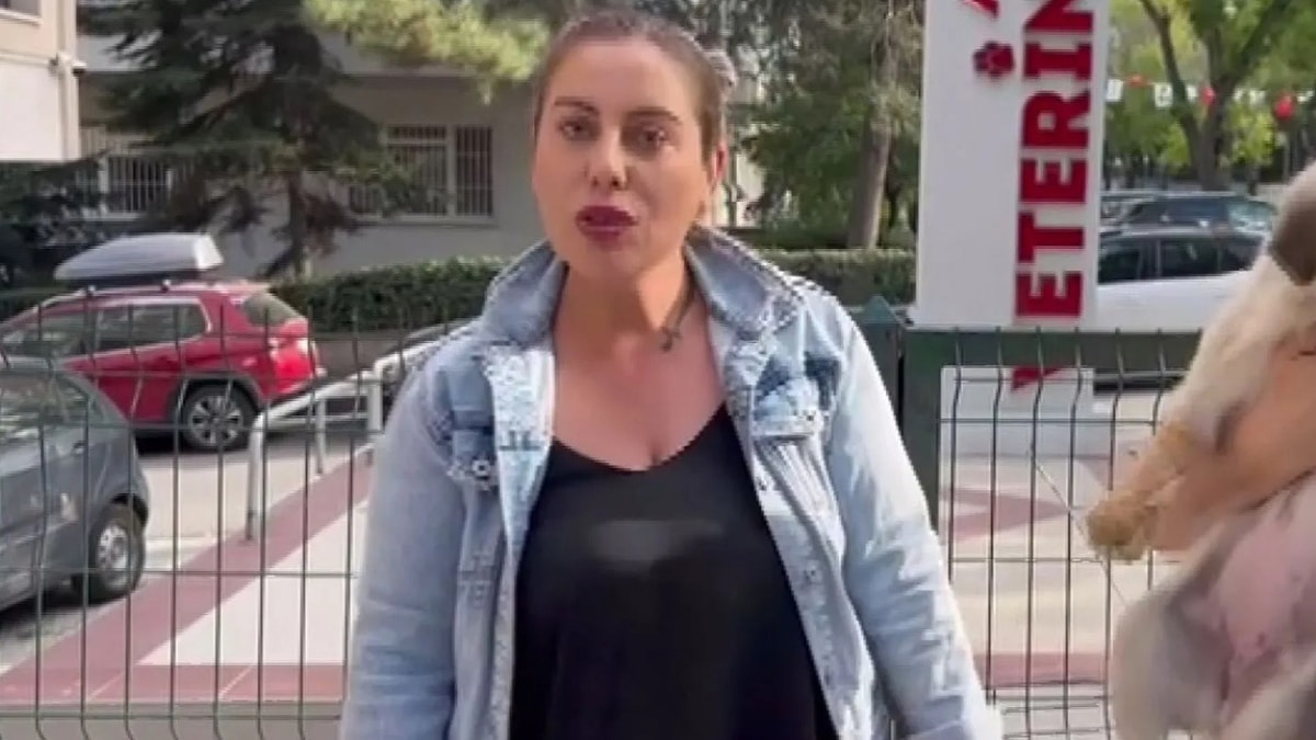 Gülay Akgün Mutlu cinayetinde yeni gözaltılar: Soruşturma derinleşiyor
