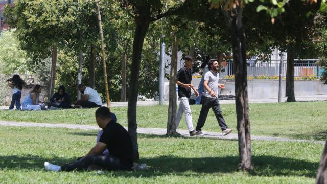 Güneydoğu'da Kavurucu Sıcaklar: Termometreler 45 Dereceyi Gördü