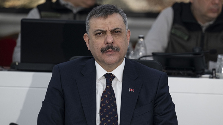Gürcistan, Türkiye'nin Aradığı 11 Kişiyi İade Etti