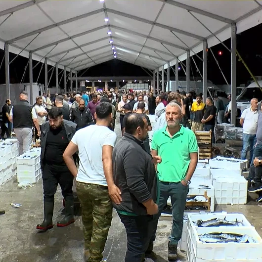 Gürpınar Balık Hali'nde Palamut Bolluğu: 20 Yılın Rekoru