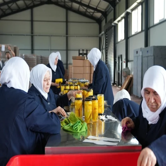 Gürsu Ovası'nda Tarlada Kalan Meyveler Turşu Olarak Avrupa'ya Açılıyor