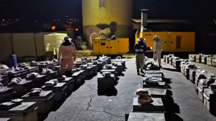 Hakkari'de Arı Kovanlarına Gizlenmiş 91 Kilo Uyuşturucu Ele Geçirildi