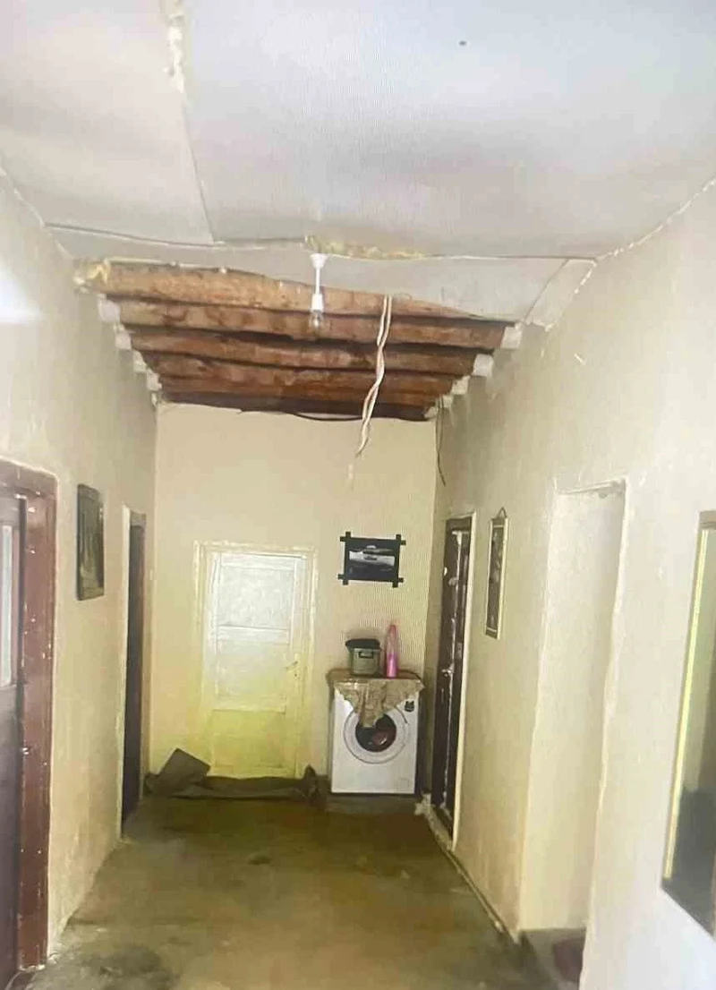 Hakkari'de Yılan Paniği: İtfaiye Ekipleri Olay Yerinde
