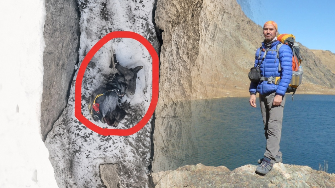 Hakkari'de kaybolan dağcı Yüksel Işık'ın cansız bedeni dronla bulundu