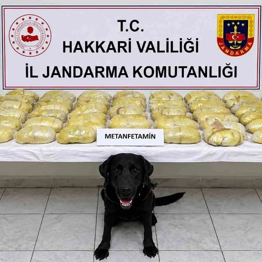 Hakkâri'de Tırda 21 Kilo 700 Gram Metamfetamin Ele Geçirildi