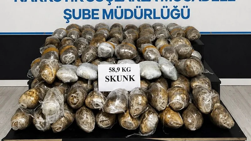 Hakkari'de uyuşturucu operasyonu: 58 kilo skunk ele geçirildi