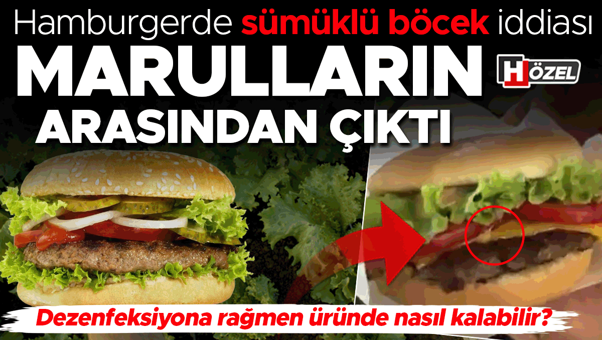 Hamburgerde Sümüklü Böcek Şoku: Marulların Arasından Canlı Çıktı