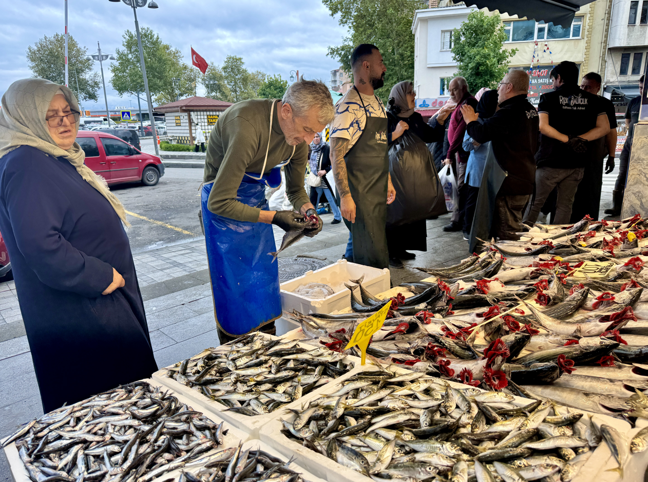 Hamsi Yok, Palamut Tezgahlarda: Trabzon'da Balık Fiyatları Uçtu