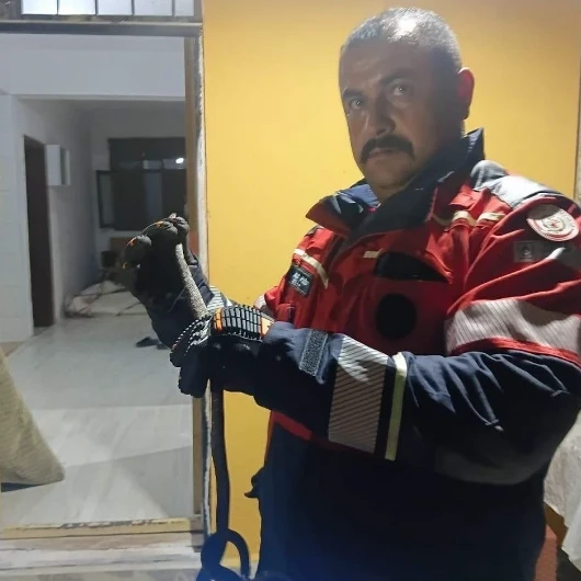Hassa'da evde paniğe neden olan yılan itfaiye tarafından kurtarıldı