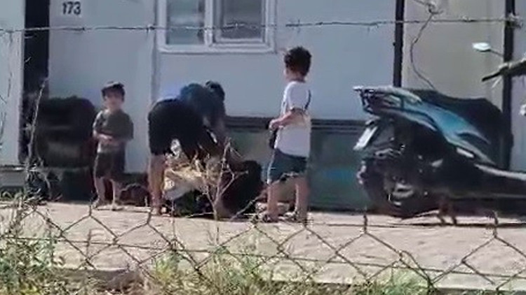 Hatay'da Çocuklarının Önünde Karısını Bıçakla Döven Koca Kamerada