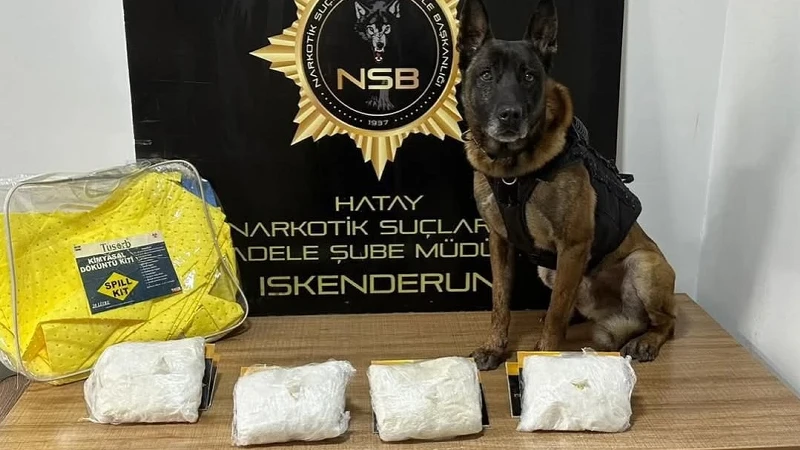 Hatay'da Mayıs Ayı Narkotik Operasyonlarında 77 Tutuklama