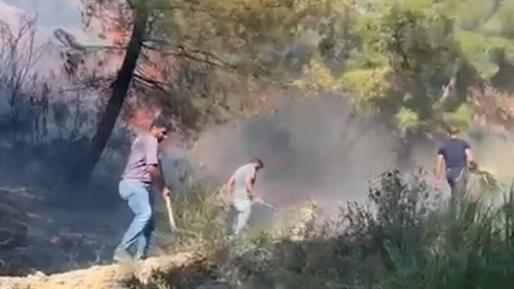 Hatay'da Orman Yangını: Antakya'da Alevlere Müdahale Sürüyor
