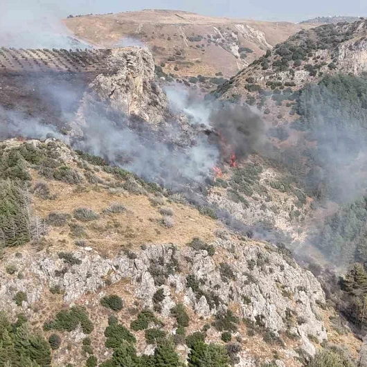 Hatay'da Orman Yangını Kontrol Altında: Ekiplerin Yoğun Müdahalesi Sonuç Verdi