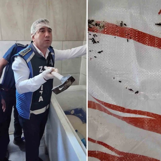 Hatay'da Zabıta Denetiminde Fırında Fare İstilası ve Paslı Balta