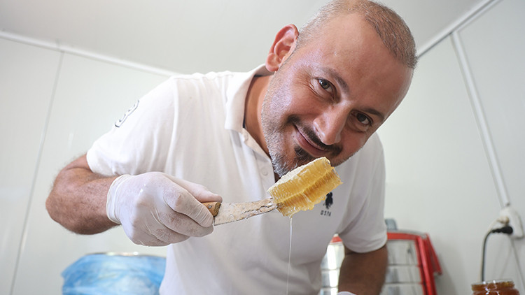Hatay'da Bol Yağış Arıcıları Sevindirdi: Sağım Sezonu Yüksek Rekolteyle Açıldı