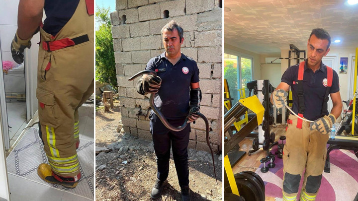 Hatay’da Yerleşim Yerlerinde Görülen Yılanlar İtfaiye Ekiplerince Yakalandı