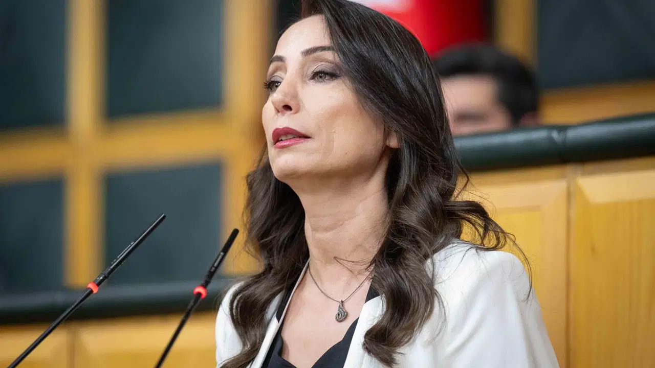 Hatimoğulları'ndan çerçeve yasa çıkışı: Bize ulaşan metin yok