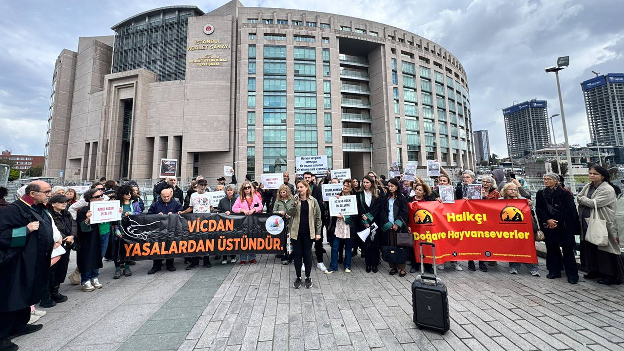 Hayvan Hakları İçin 75 İmzayla Cenevre'ye Başvuru