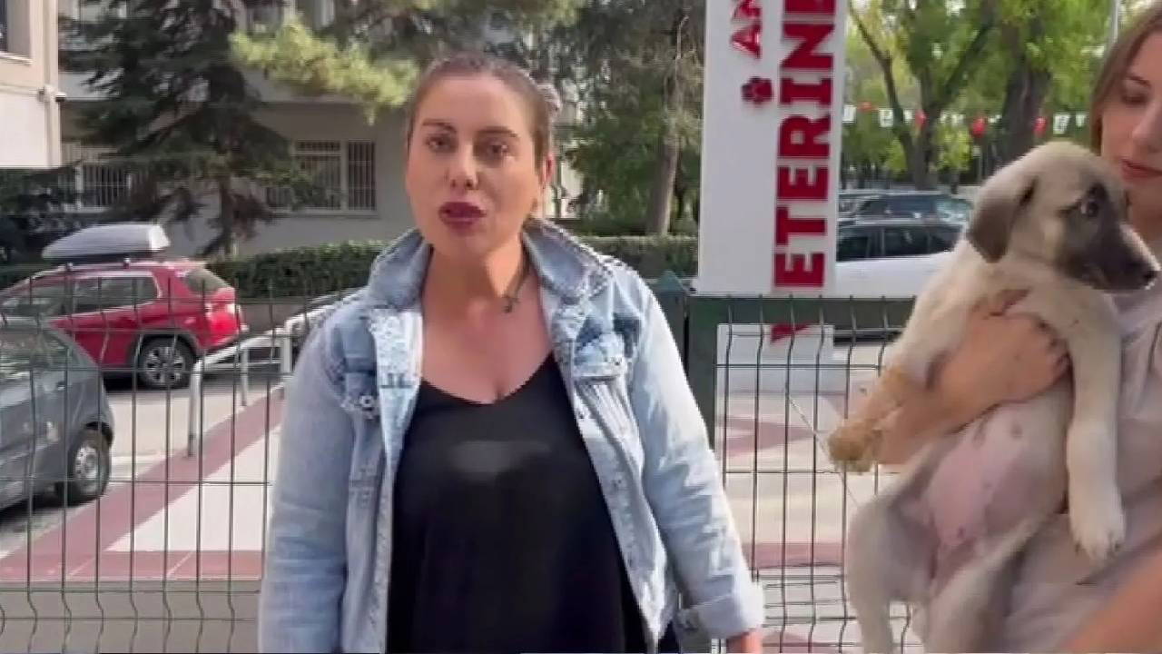 Hayvan Hakları Savunucusu Gülay Akgün Mutlu'yu Öldüren Zanlı Kırıkkale'de Yakalandı