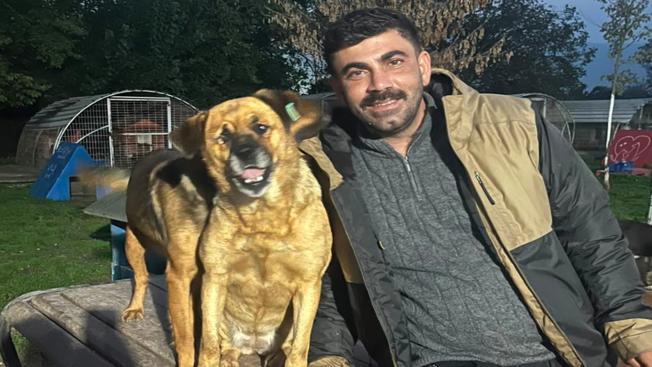 Hayvan Hakları Savunucusu İbrahim Çetelerin Tehdidiyle Karşı Karşıya