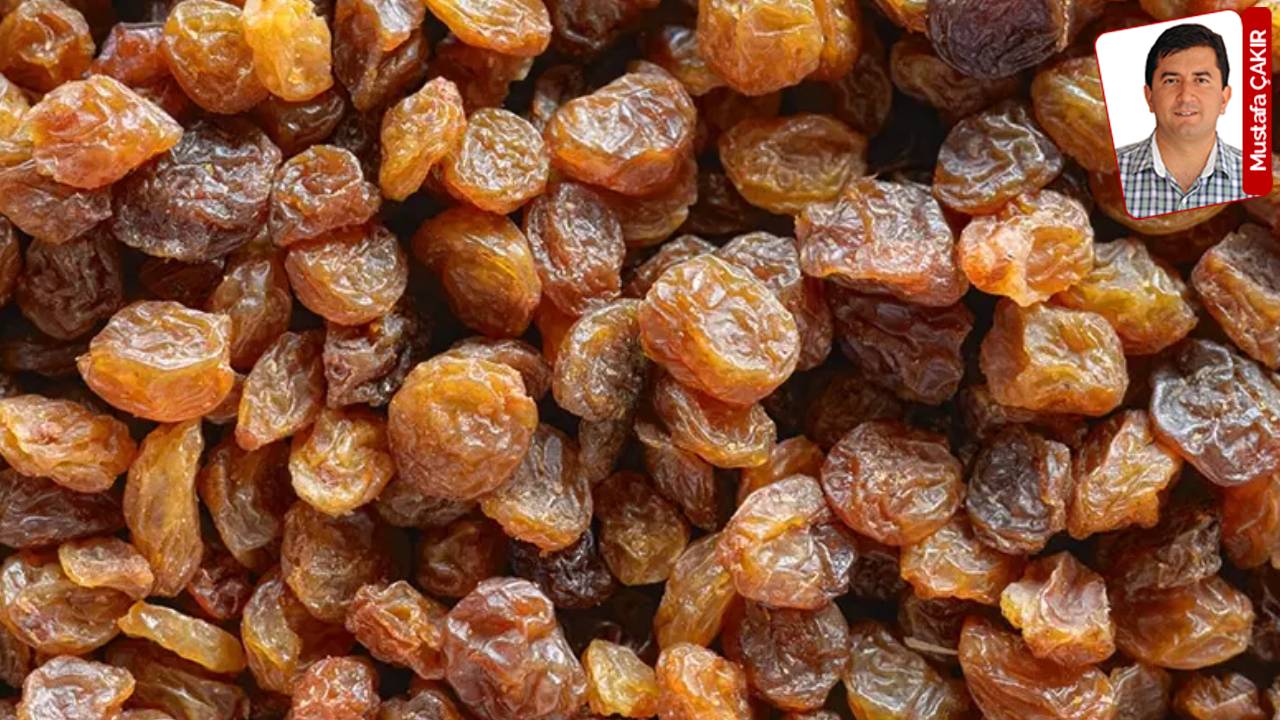 Hayvan Yemi Adı Altında İthal Üzüm Hilesi İddiası