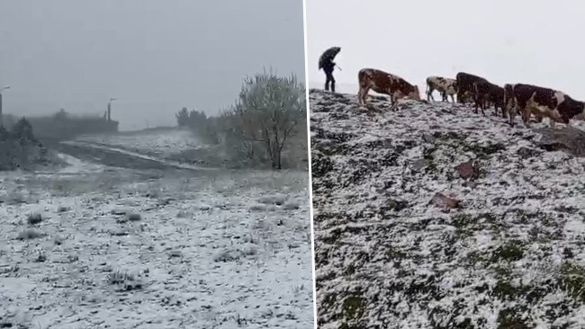 Haziranda kar sürprizi: Posof yaylaları beyaza büründü