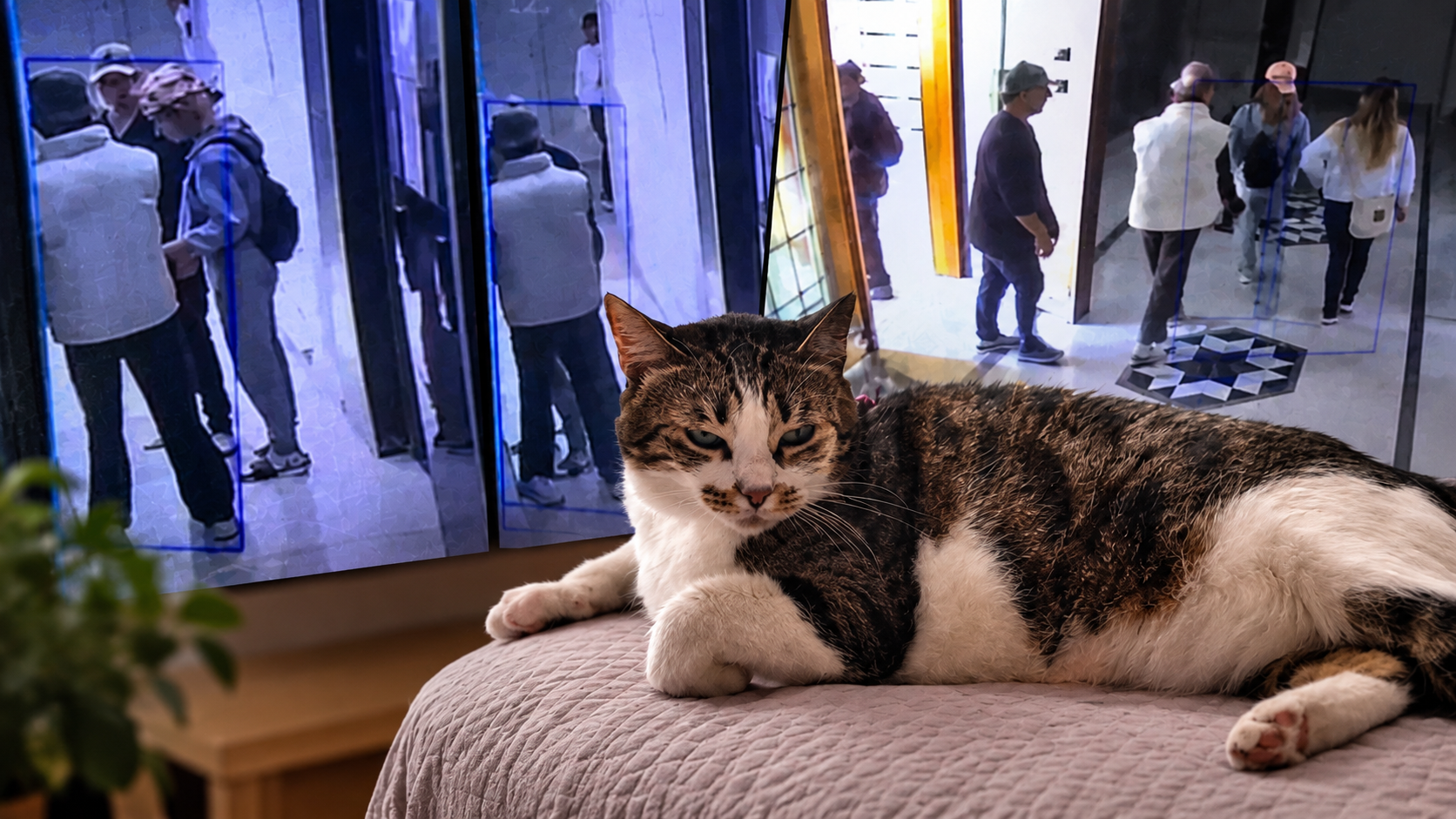 Hırsızların planını tek başına bozdu! 'Mucize' evini böyle korudu