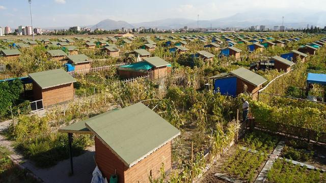 Hobi bahçeleri için yeni düzenleme geliyor: Tarım arazileri korunacak