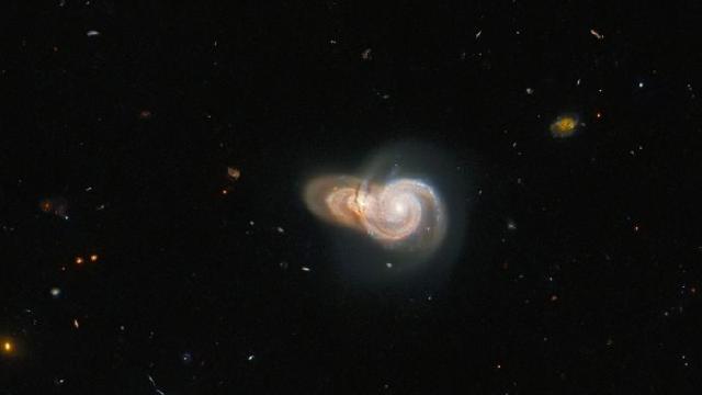 Hubble'dan 1000 kat hızlı: Kozmosun sırlarını çözecek NASA teleskobu fırlatılıyor