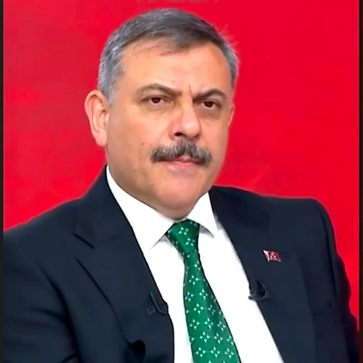 İçişleri Bakanı: 1,5 Ay Sonra Sokak Hayvanları Sorunu Gündemden Çıkacak