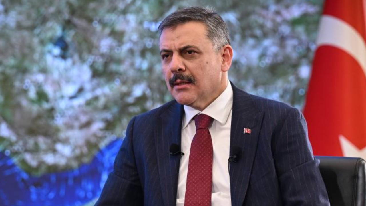 İçişleri Bakanı Çiftçi: Sahipsiz Hayvan Sorunu Ekim Sonunda Gündemden Çıkacak