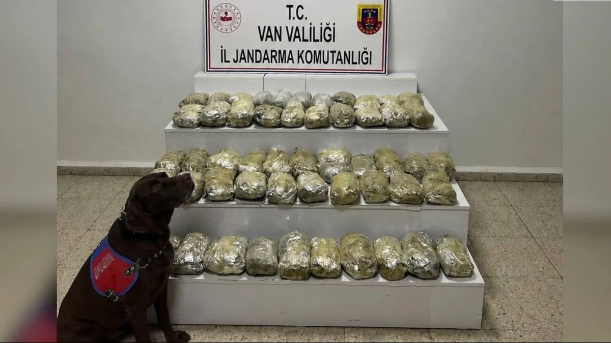 İçişleri Bakanlığı'ndan 24 İlde Uyuşturucu Operasyonu: 80 Tutuklama