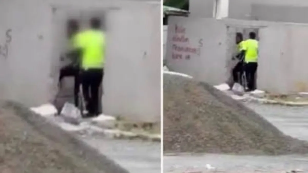 İçişleri Bakanlığı'ndan polis şiddeti iddiasına çifte müfettiş soruşturması
