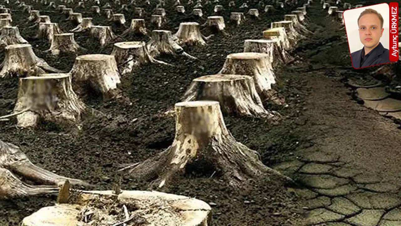 İklim Filantropisi Kampanyasına Tepki: 350 Ankara'dan Sert Bildiri