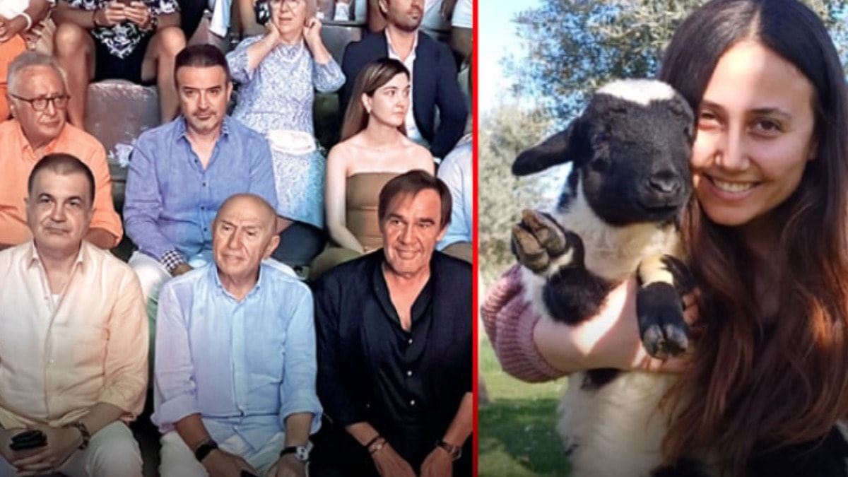 İktidar ve Sivil Toplum: Akbelen'den Bodrum'a Uzanan Çifte Standart